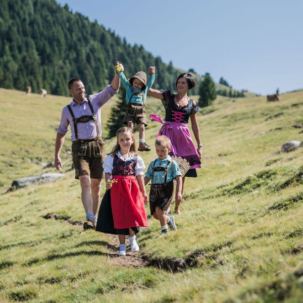 Family of five in traditional South Tyrolean costumes hiking joyfully on sunny Alpine meadow slope with forest backdrop