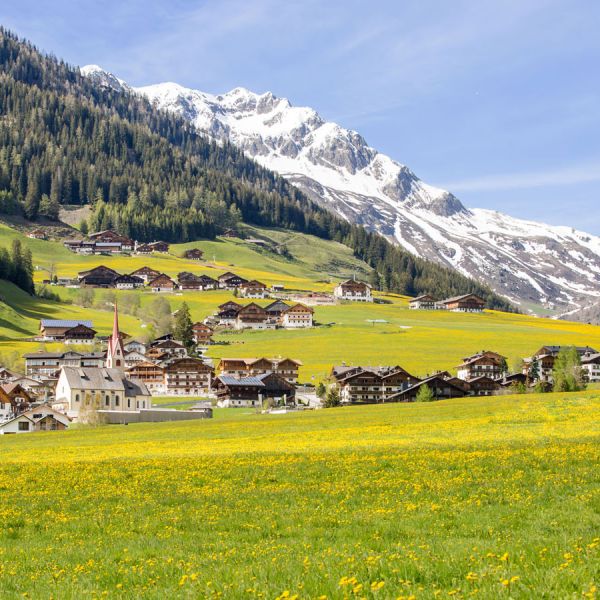 Picturesque Alpine village with white church and traditional chalets in vibrant yellow wildflower meadows with snow-capped peaks backdrop