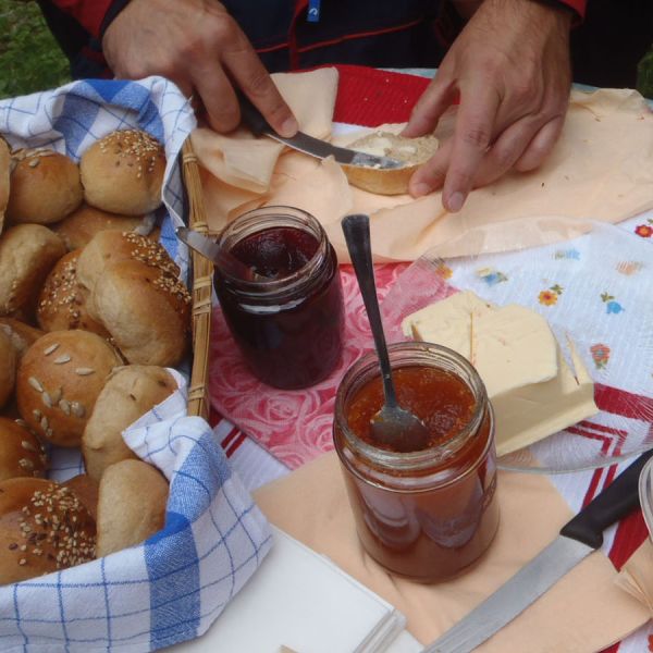 Traditional bread rolls with seeds, homemade jams, and mountain cheese assortment on colorful outdoor picnic spread
