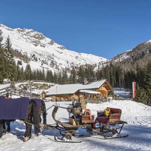 Traditional horse-drawn wooden sleigh with colorful blankets parked outside rustic Alpine hut in snowy mountain valley