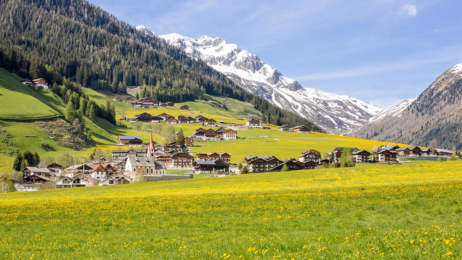 green meadows in the Gsieser valley in summer