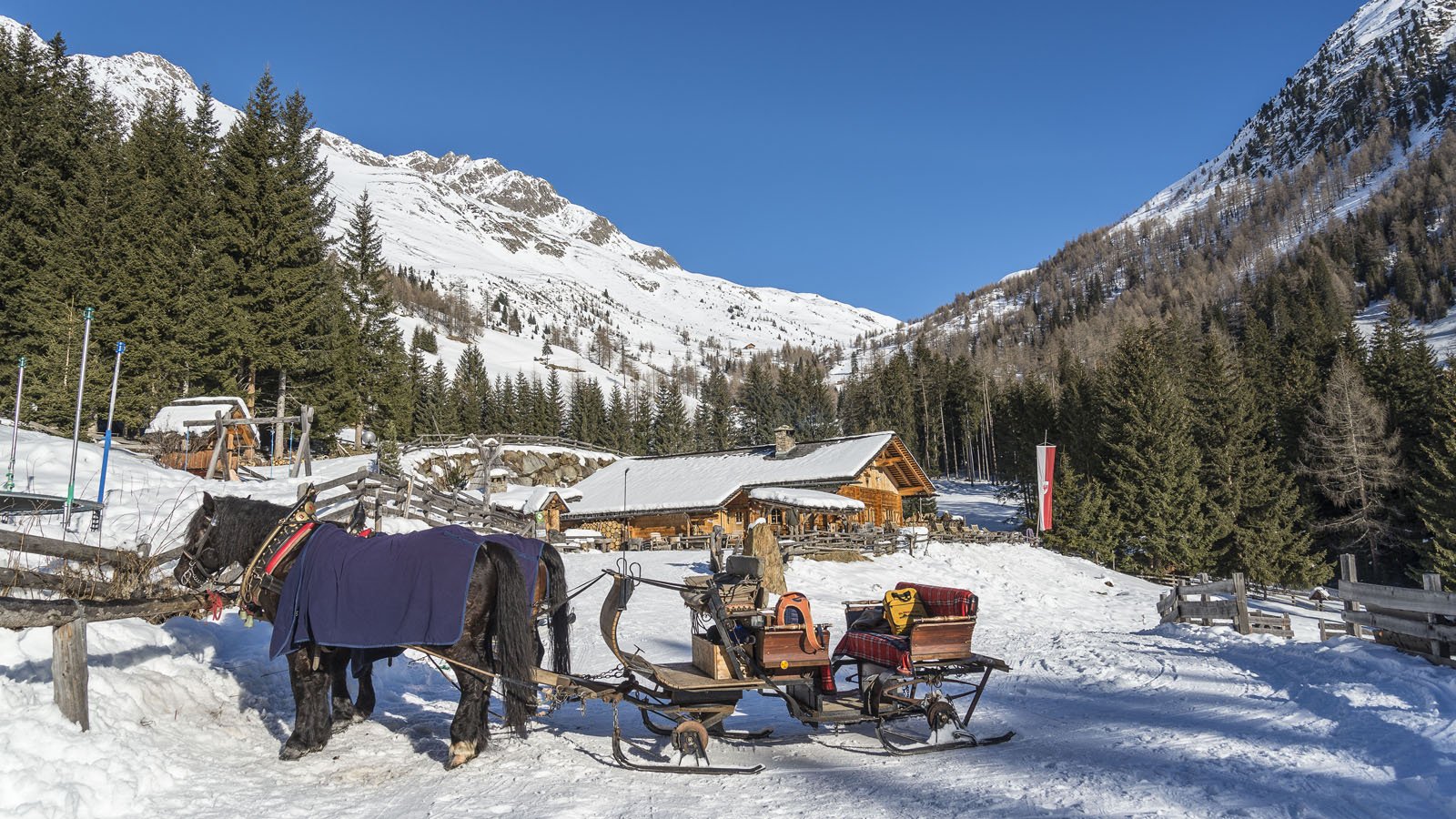 ein Pferd mit Schlitten im Winter in Gsies